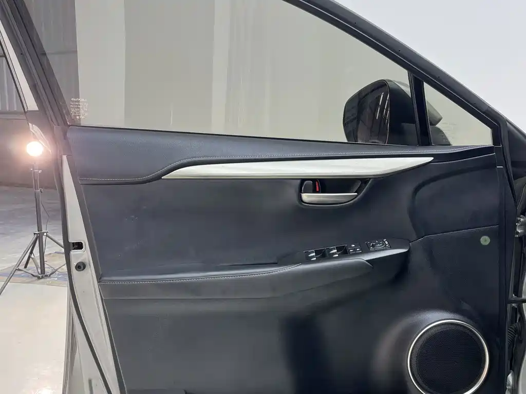 Lexus NX — миниатюра 13