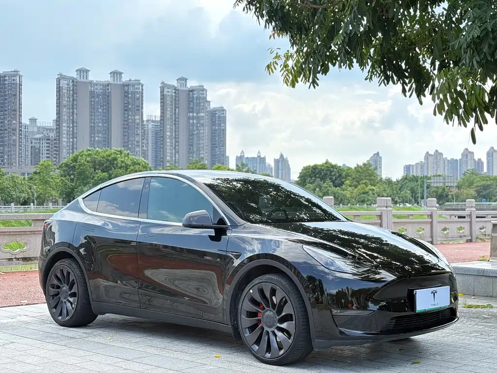 Tesla Model Y — миниатюра 3