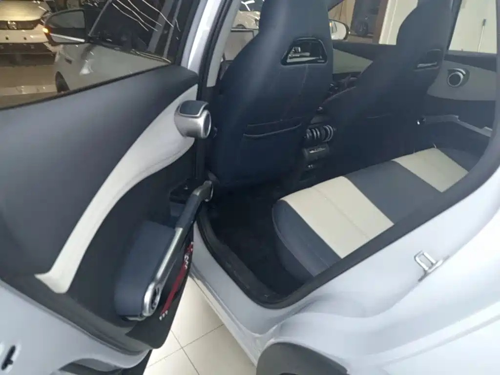 BYD Yuan Plus — миниатюра 17
