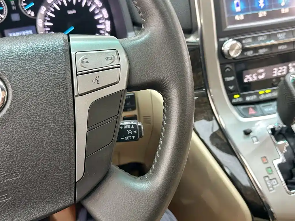 Toyota Alphard — миниатюра 28