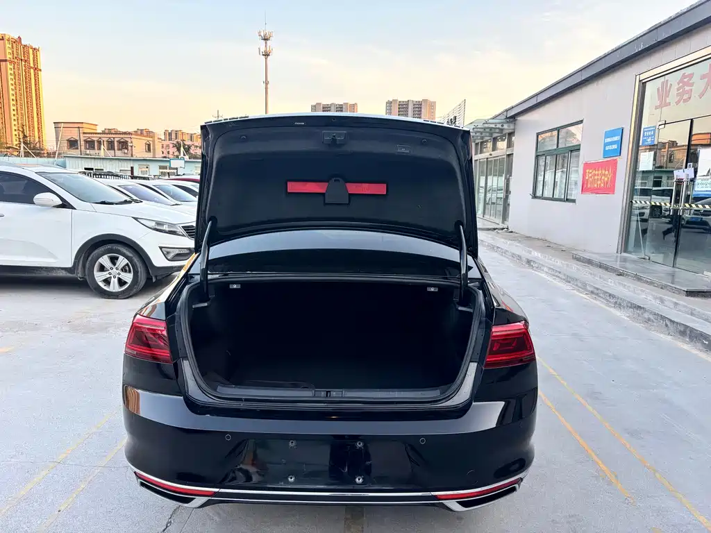 Volkswagen Magotan 2020 330TSI DSG Luxury