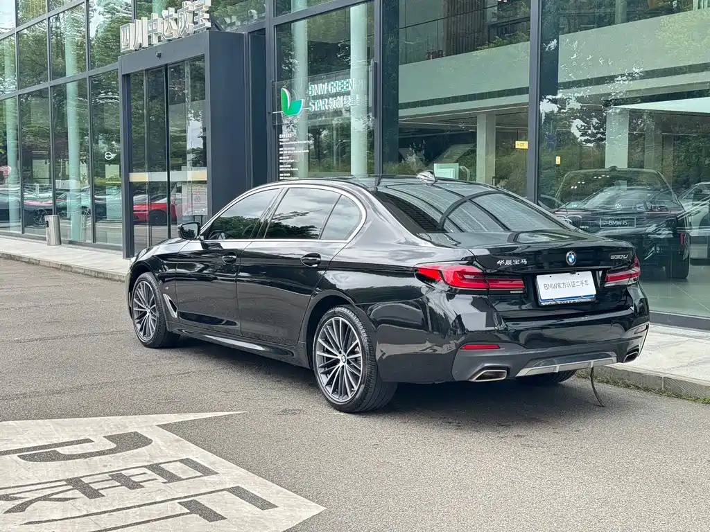 BMW 5 Series — миниатюра 5