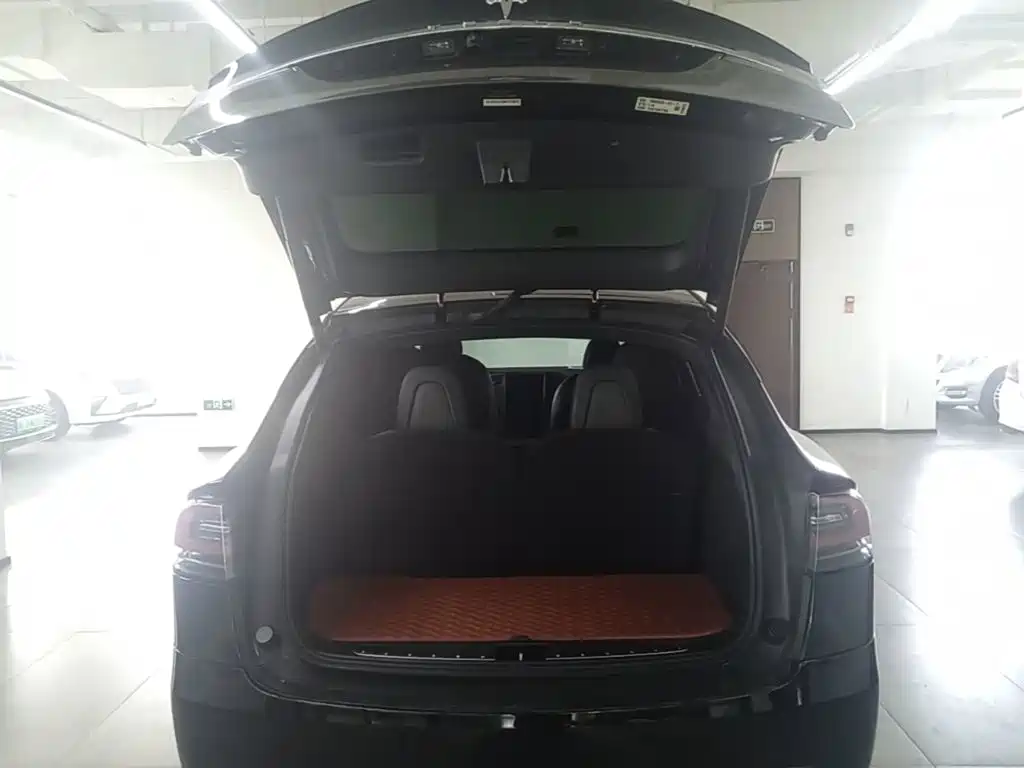 Tesla Model X — миниатюра 15