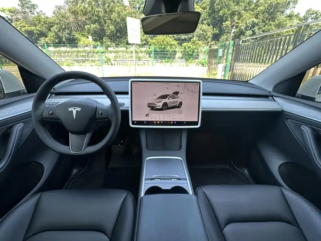 Tesla Model Y — миниатюра 5