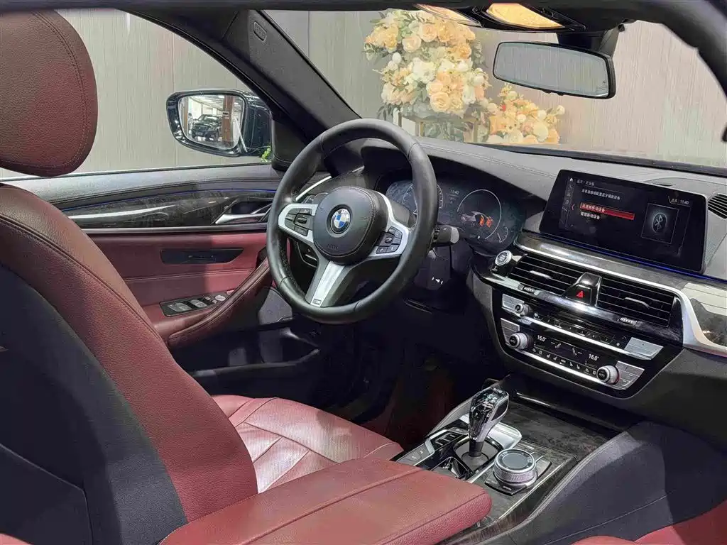 BMW 5 Series 5 2019 530Li Premium M Sport