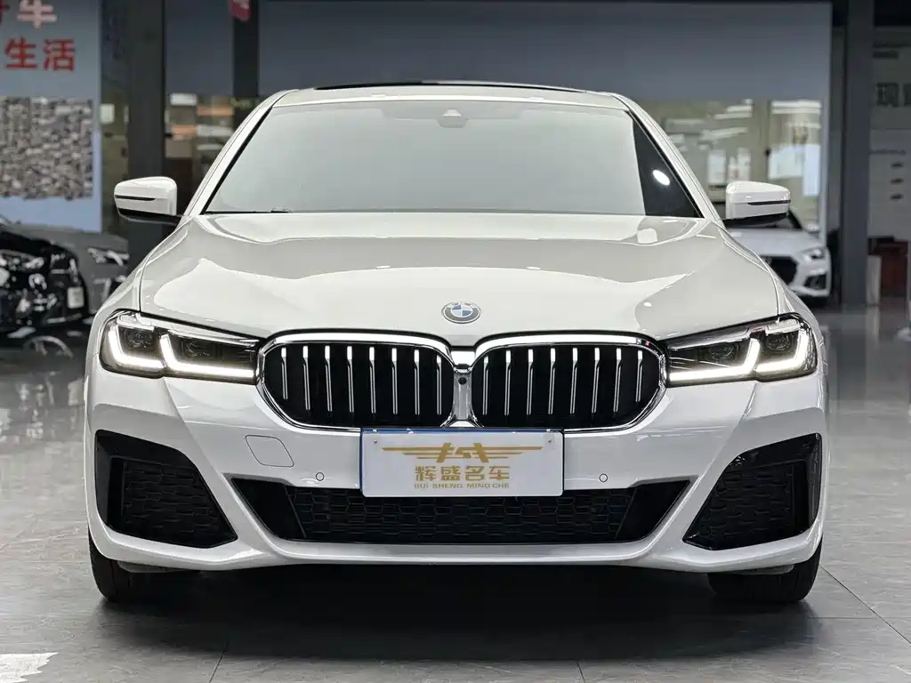 BMW 5 Series — миниатюра 2