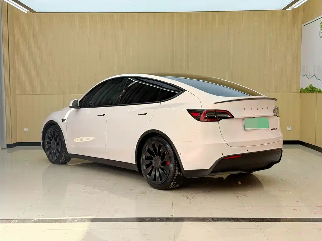 Tesla Model Y — миниатюра 17