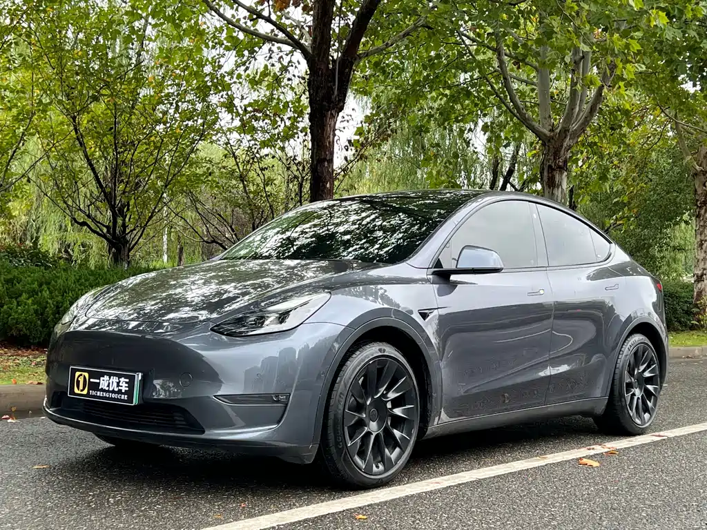 Tesla Model Y 2021