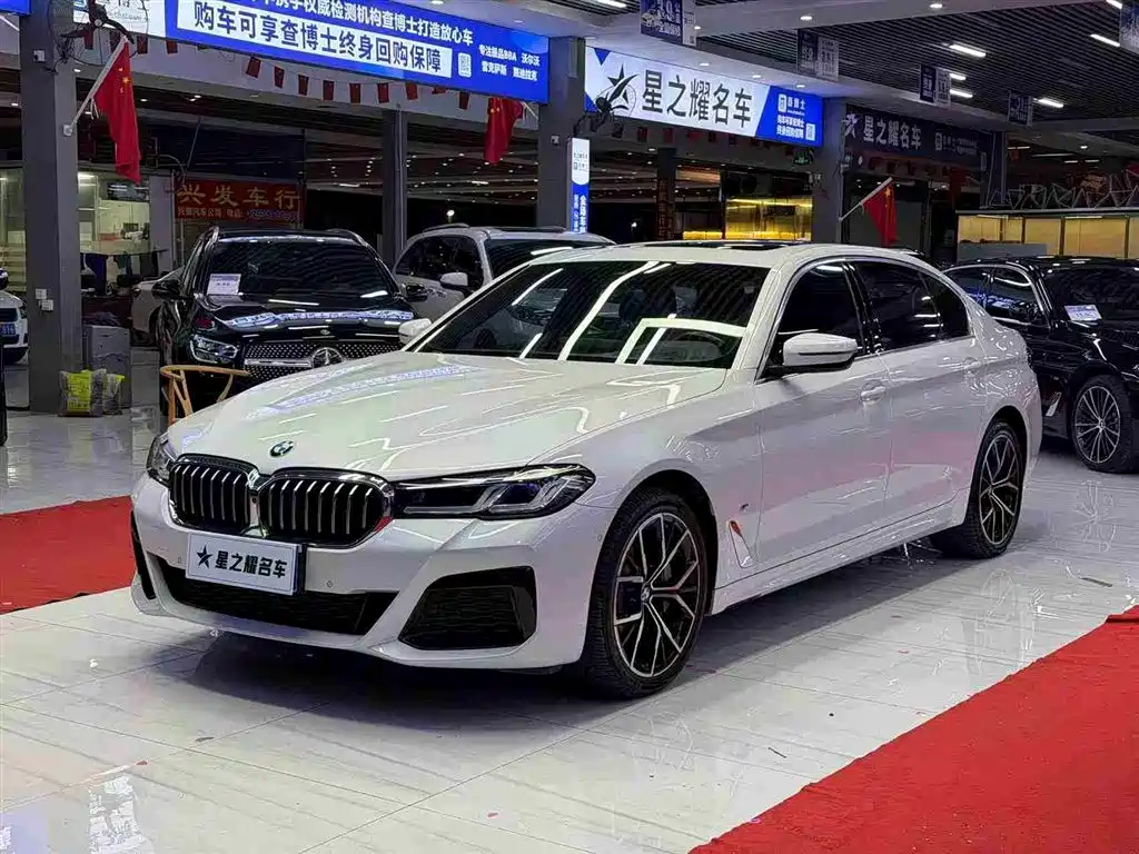 BMW 5 SERIES