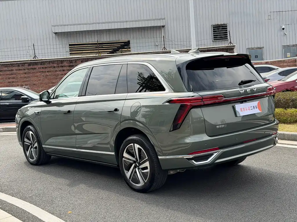 WEI PAI WEI BRAND BLUE MOUNTAIN