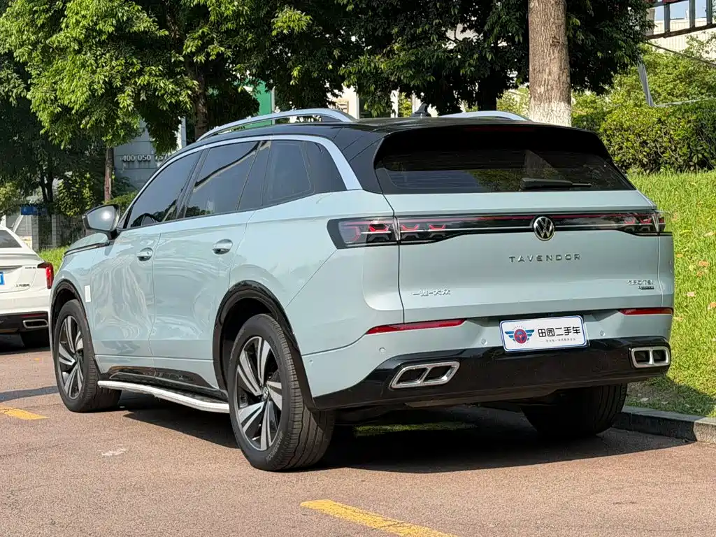 Volkswagen Tavendor — миниатюра 4