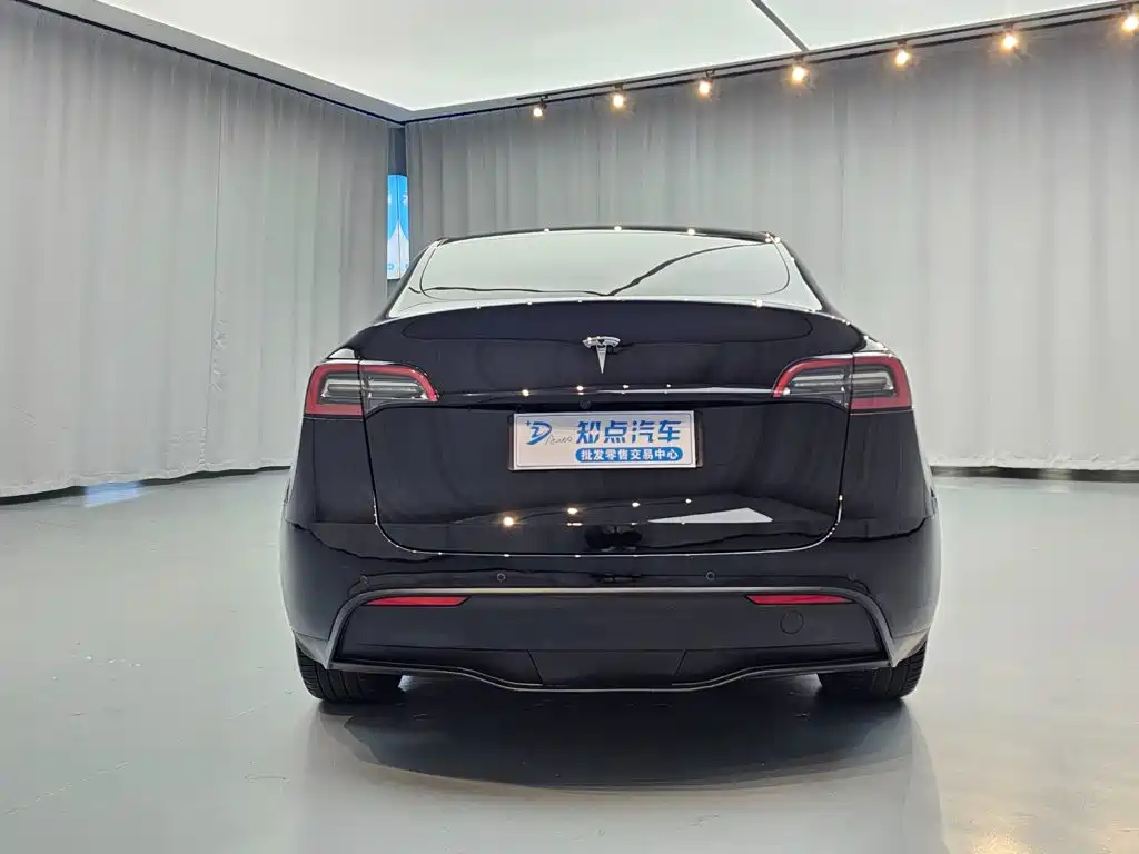 Tesla Model Y — миниатюра 6
