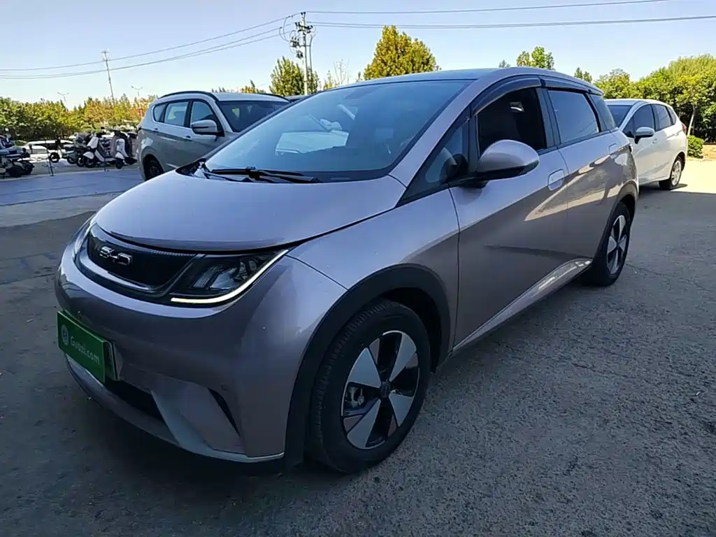 BYD Dolphin — миниатюра 2