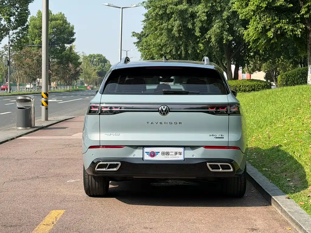 Volkswagen Tavendor — миниатюра 5