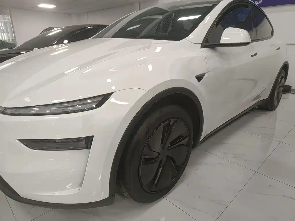 Tesla Model Y — миниатюра 2