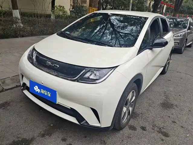 byd dolphin