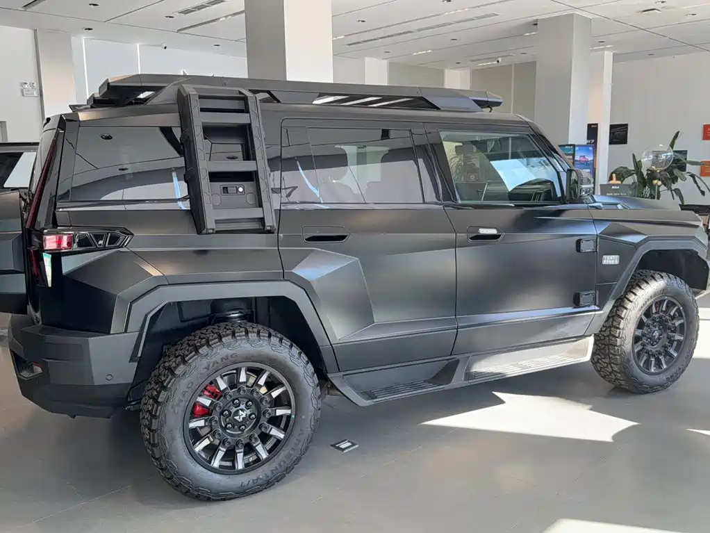 Mengshi Mengshi 917 — миниатюра 15