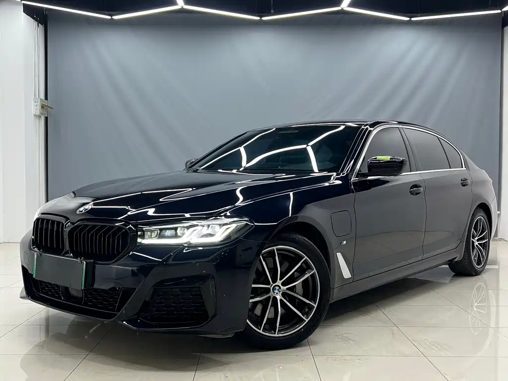 BMW 5 Series New Energy 2021