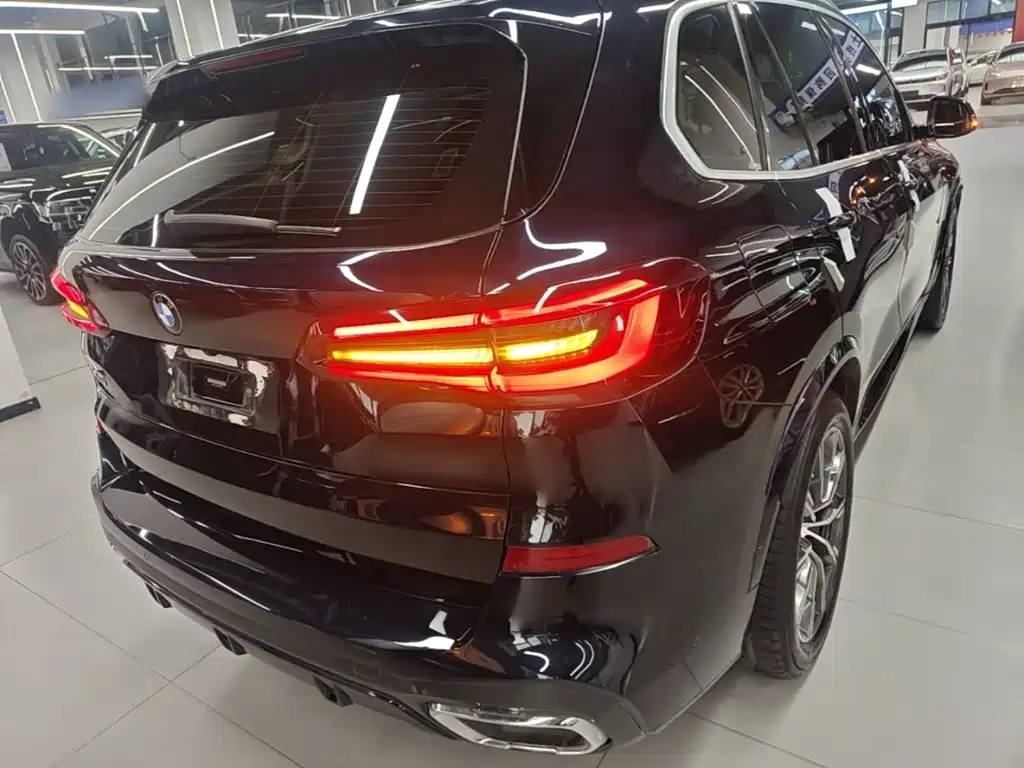 BMW X5 New Energy (Import) — миниатюра 8