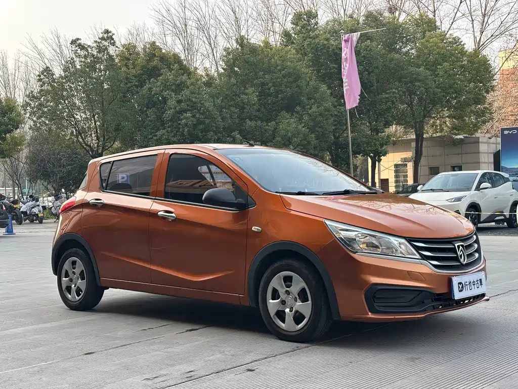 BAOJUN 310
