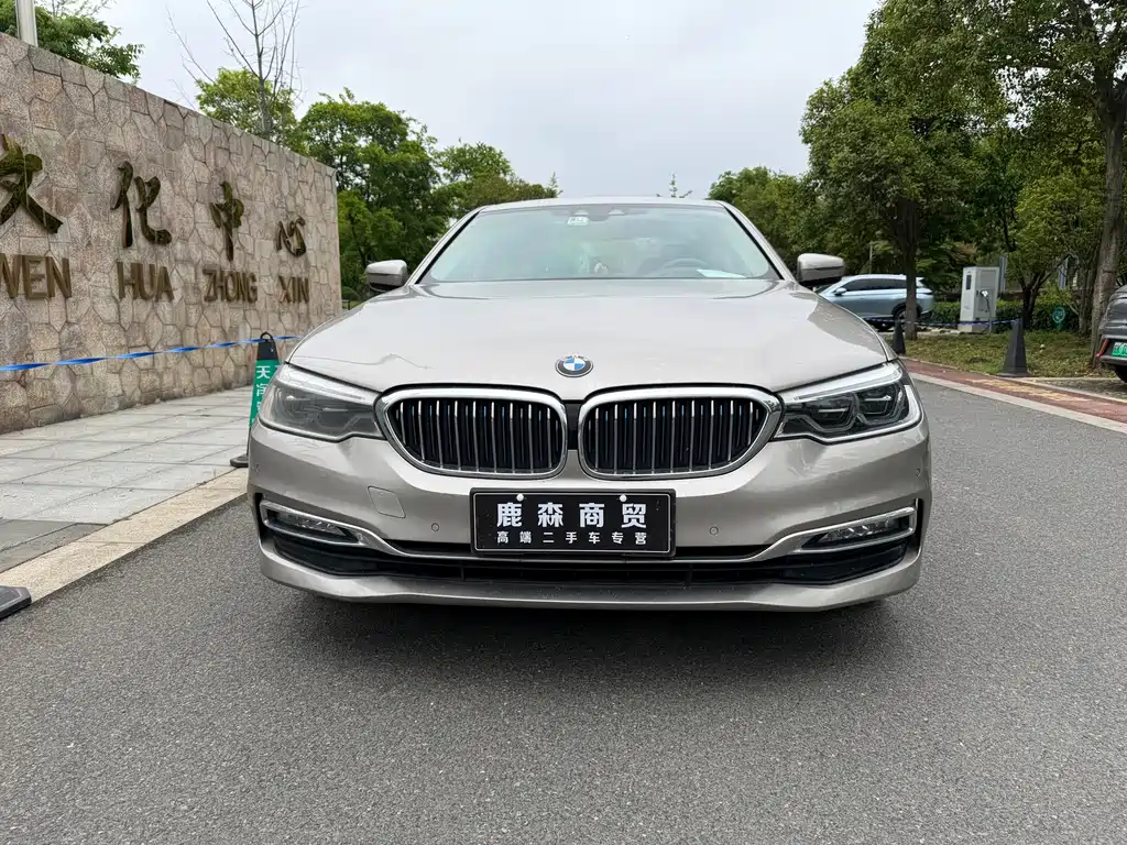 BMW 5 Series 5 2019 530Le Luxury