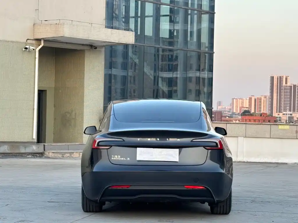 Tesla Model 3 — миниатюра 11