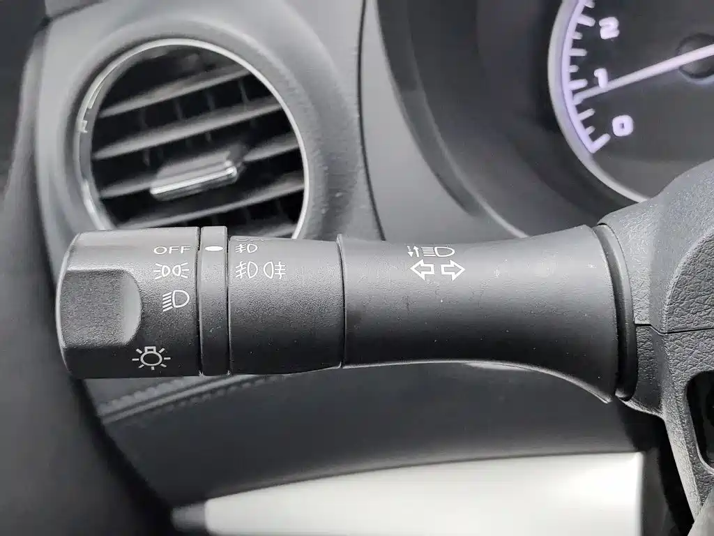 Dongfeng Palasso — миниатюра 21