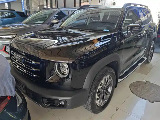 HAVAL BIG DOG