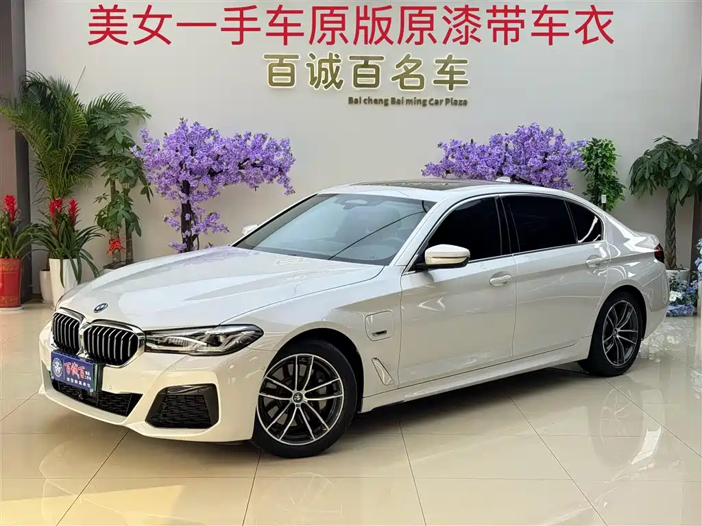 BMW 5 SERIES NEW ENERGY