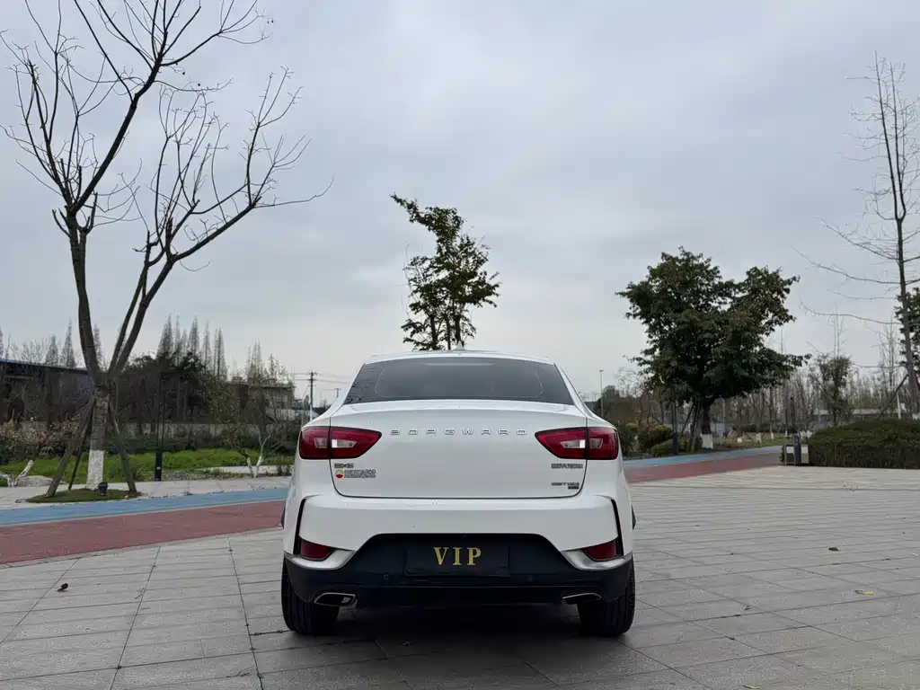 BORGWARD BAOWO BX6