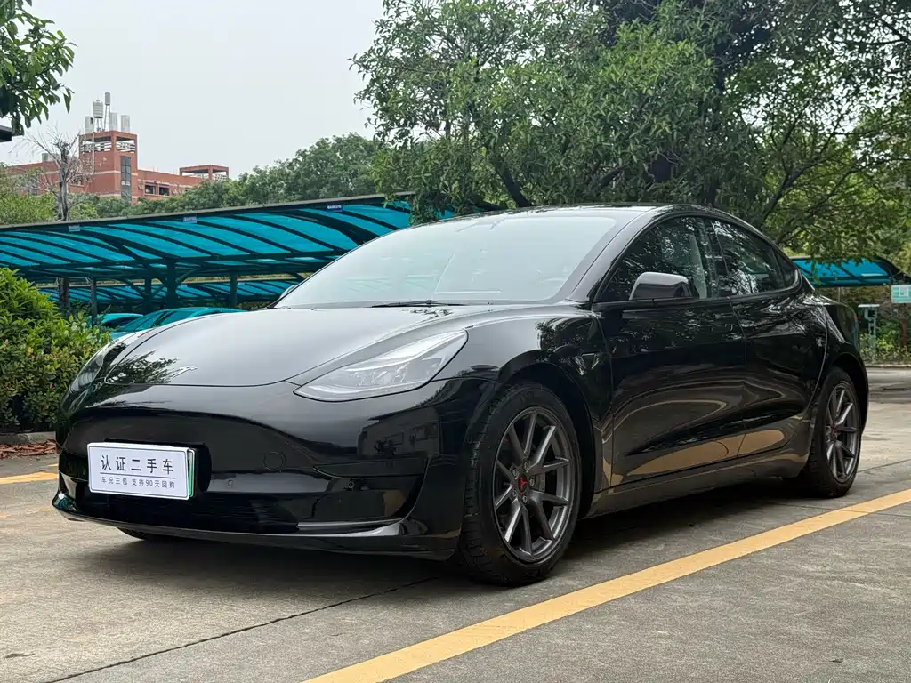 Tesla Model 3 2021