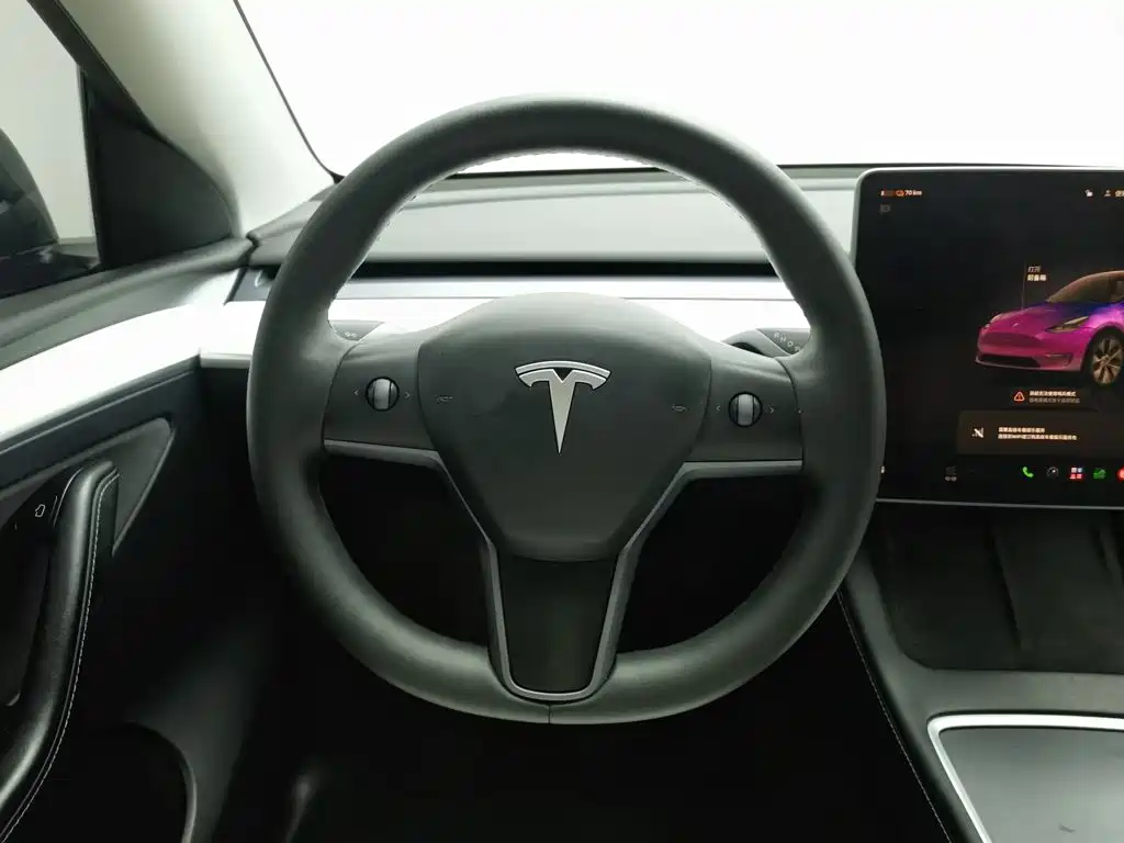 Tesla Model Y — миниатюра 11