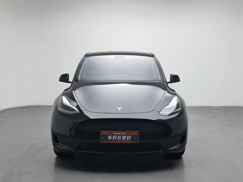 Tesla Model Y — миниатюра 3