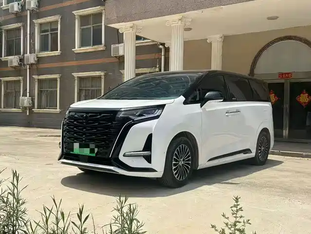 2023 Denza D9