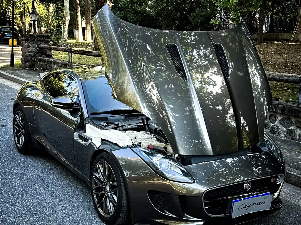 Jaguar F-TYPE — миниатюра 3
