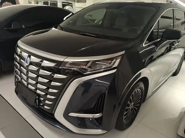 2024 Denza D9