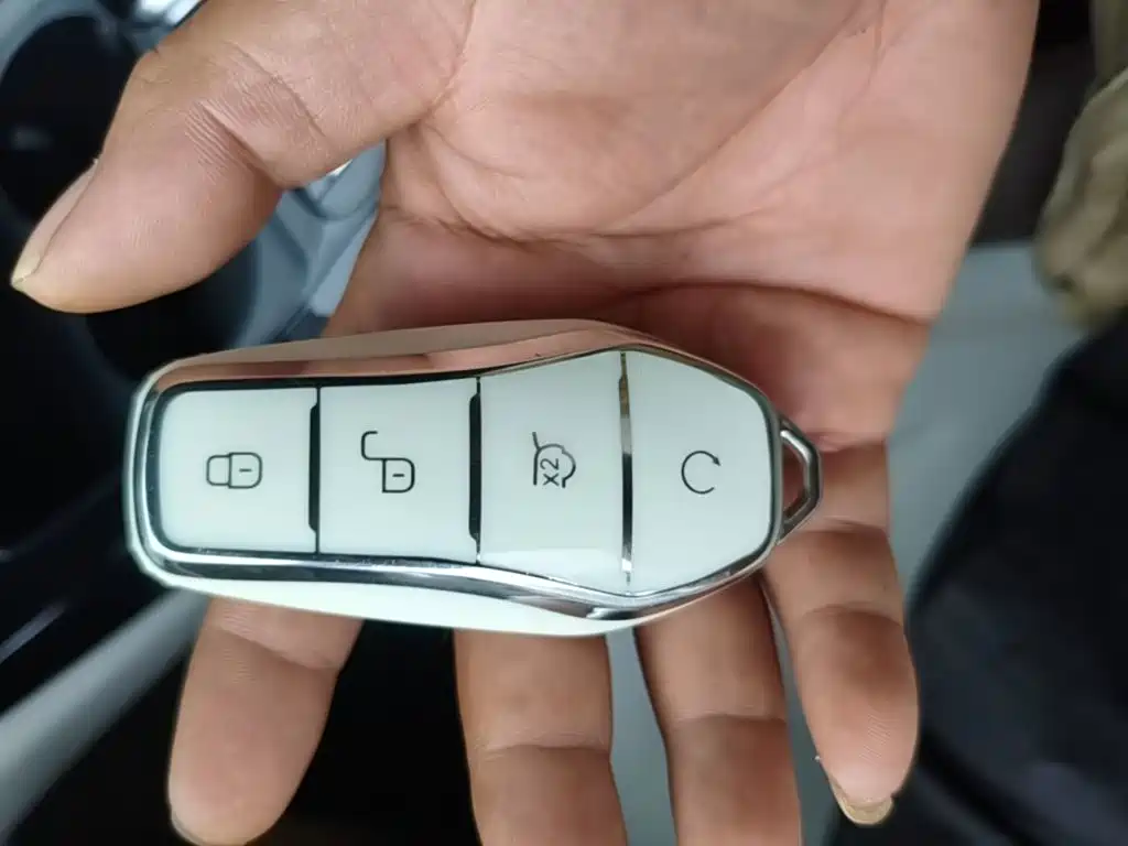BYD Qin Plus PLUS 2024 DM-i 55KM Lead