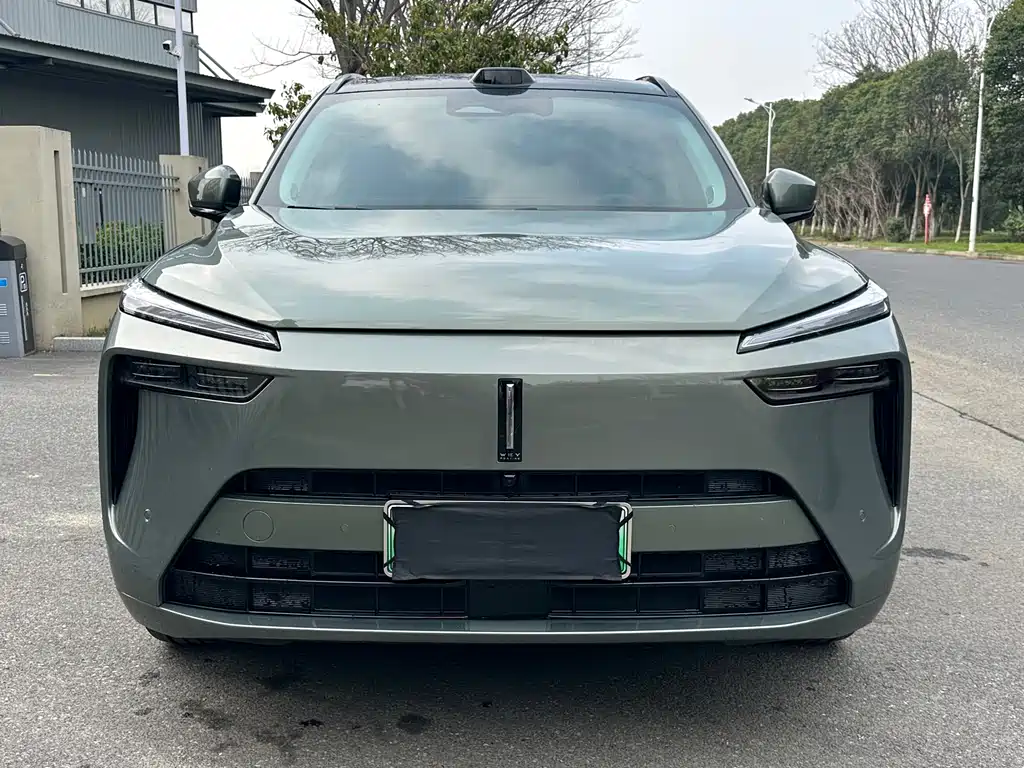 WEI PAI WEI BRAND BLUE MOUNTAIN