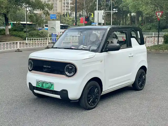 GEELY GALAXY PANDA 2024