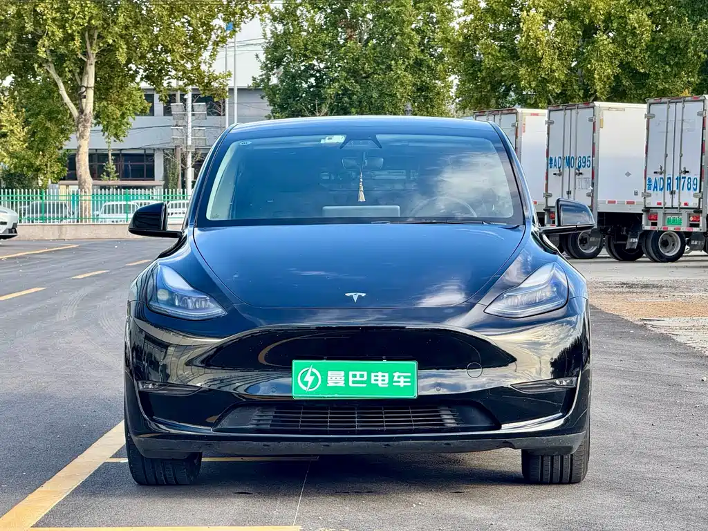 Tesla Model Y — миниатюра 2