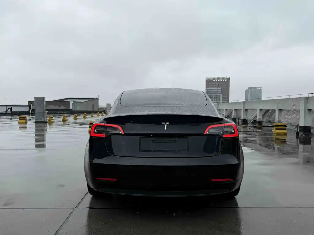 Tesla Model 3 — миниатюра 5
