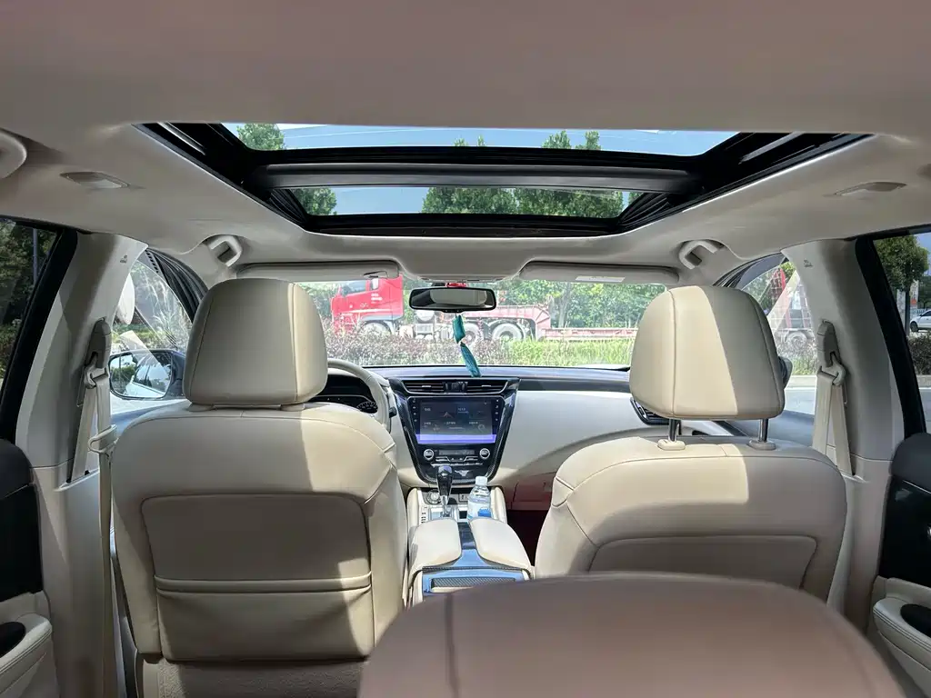 Nissan Murano 2019 2.5L XL Luxury VI