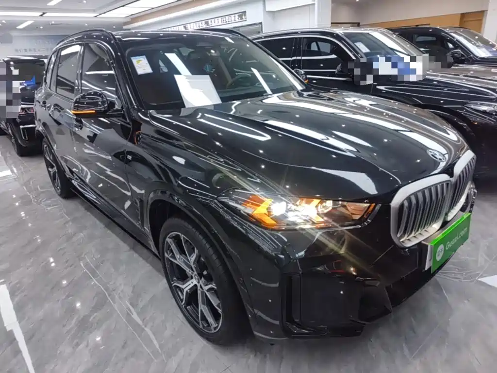 BMW X5 — миниатюра 4