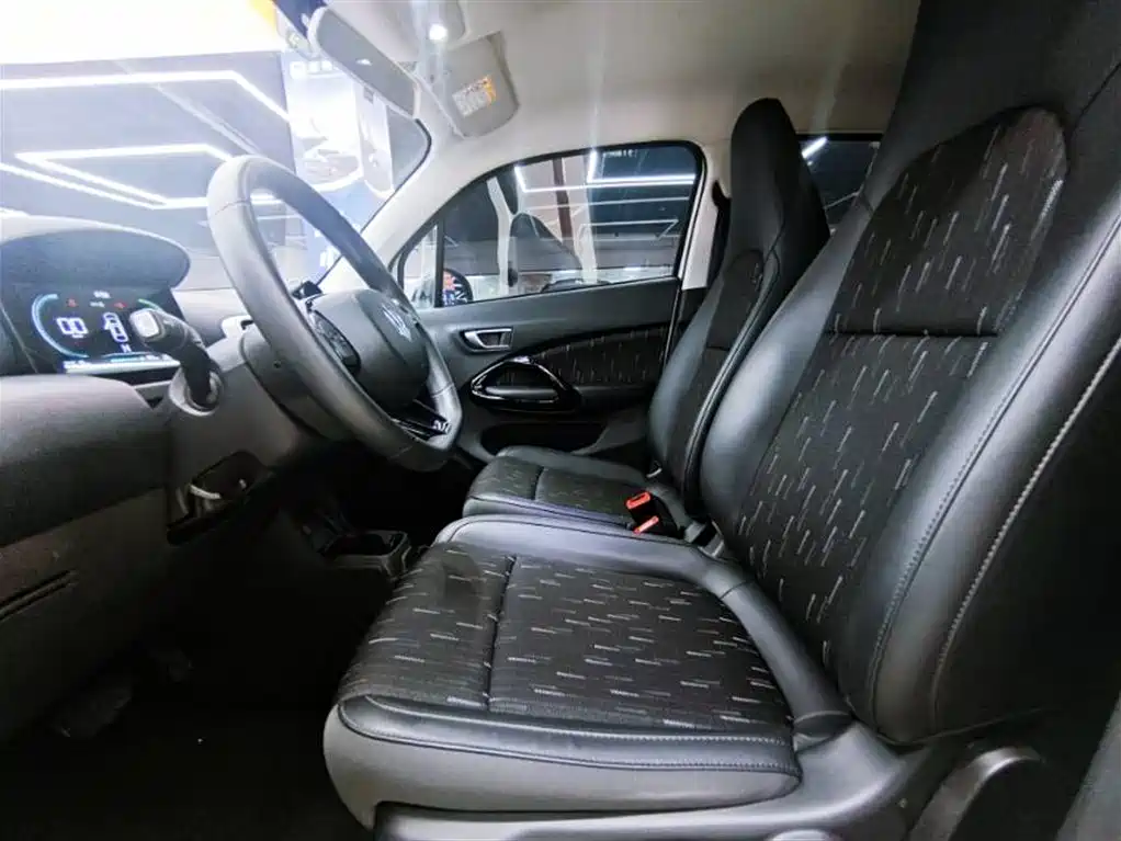 Leapmotor T03 2025 310