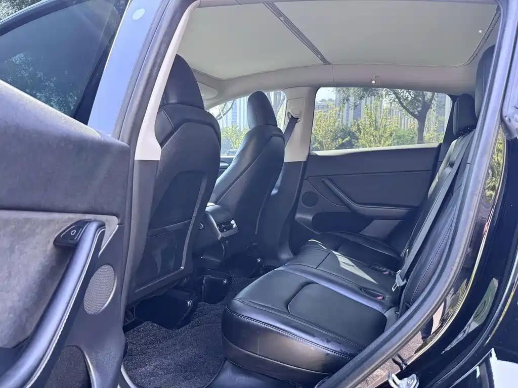 Tesla Model Y — миниатюра 9