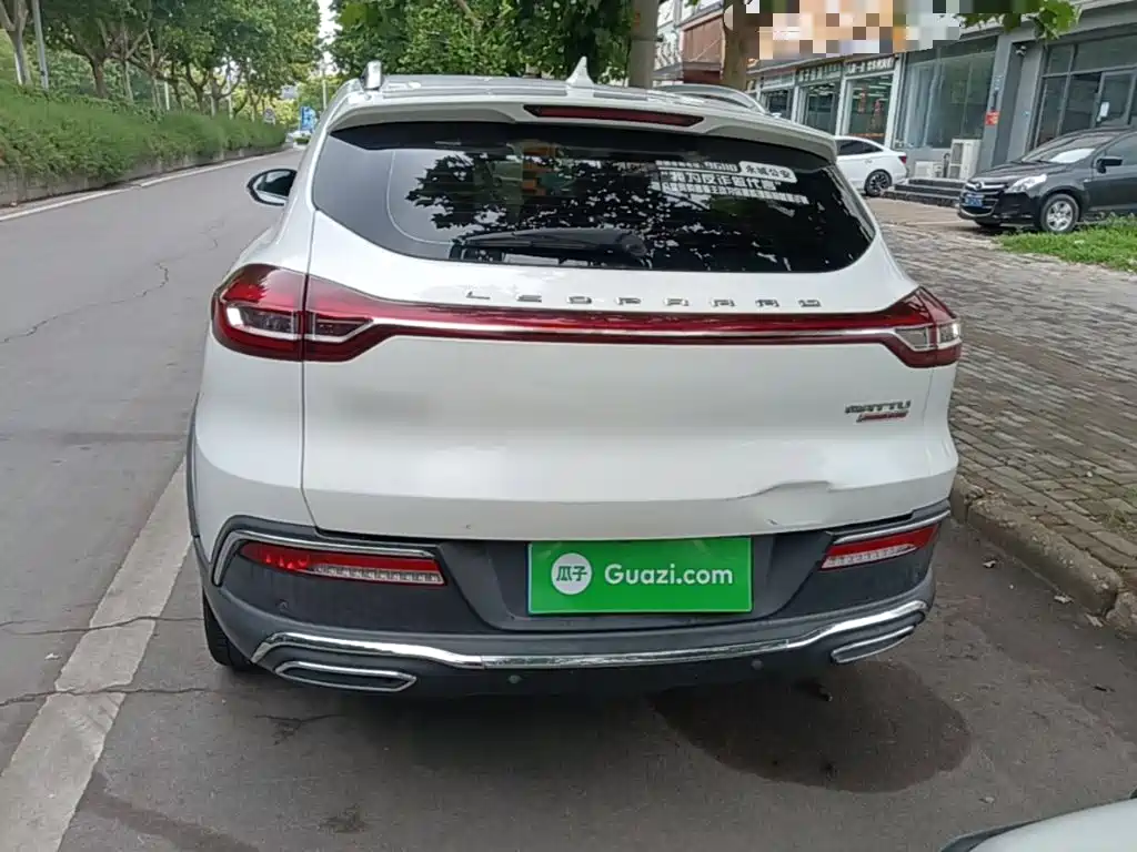 Leopaard Mattu — миниатюра 6