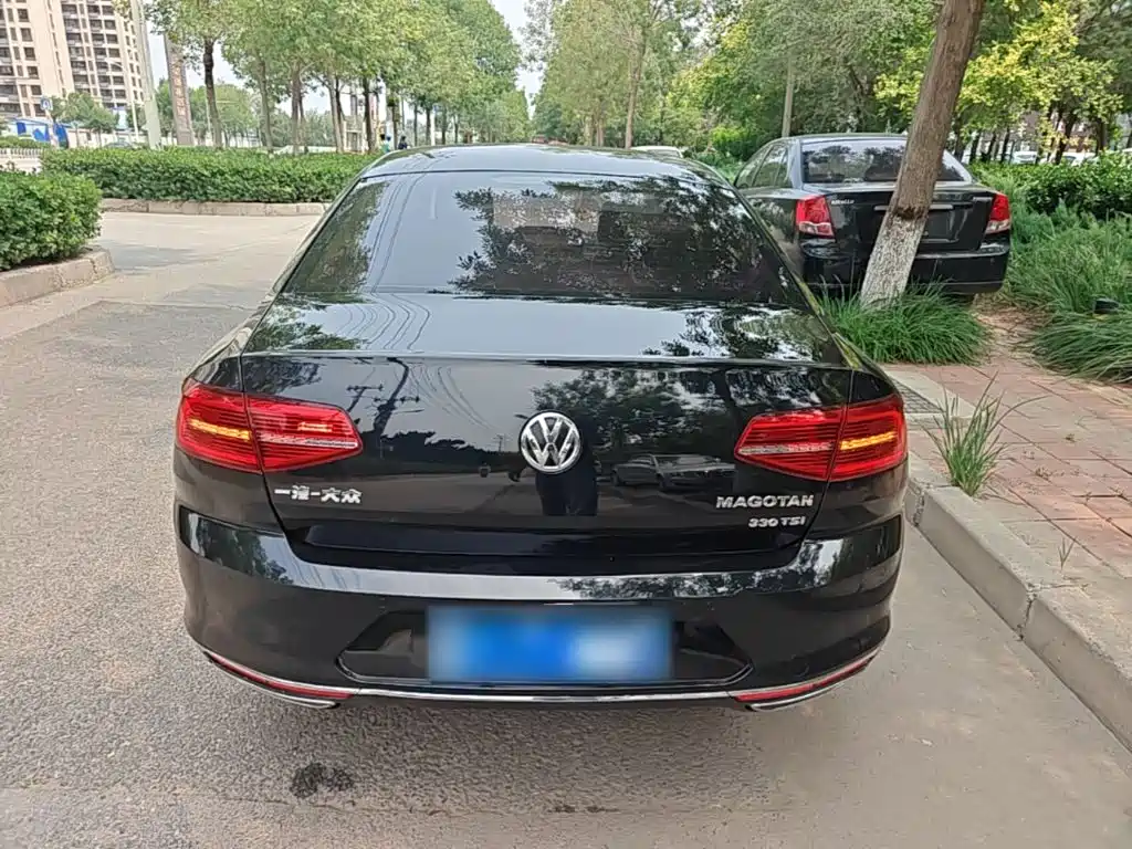 Volkswagen Magotan 2017 330TSI DSG Luxury