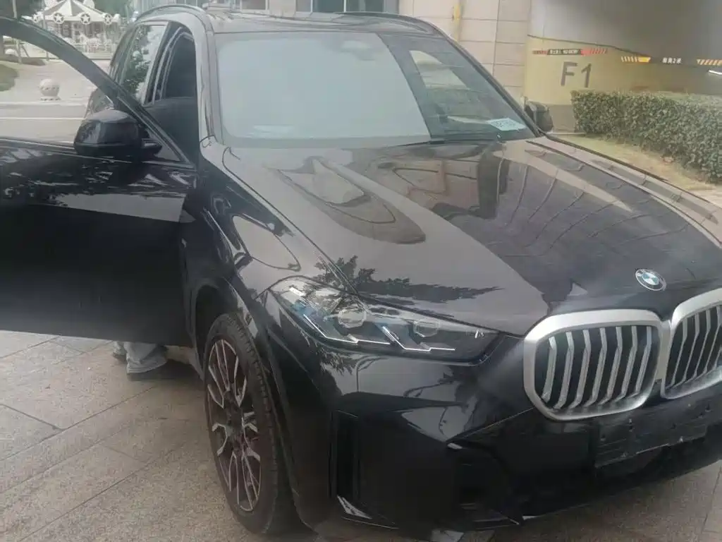 BMW X5 — миниатюра 7