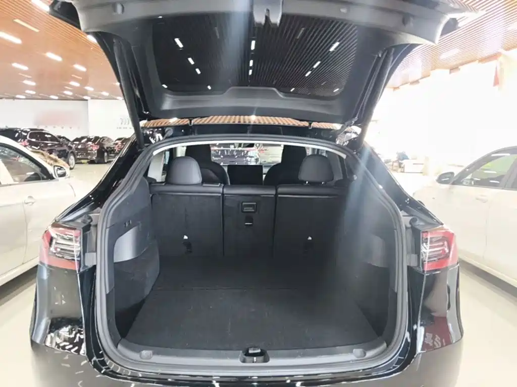 Tesla Model Y — миниатюра 19