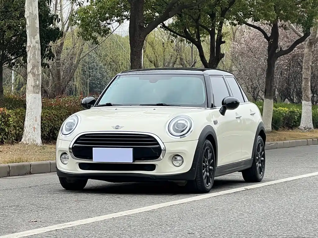 Mini Mini 2019